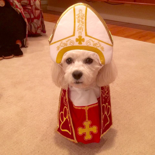 A dog wearing a pope 's outfit sitting on the floor.