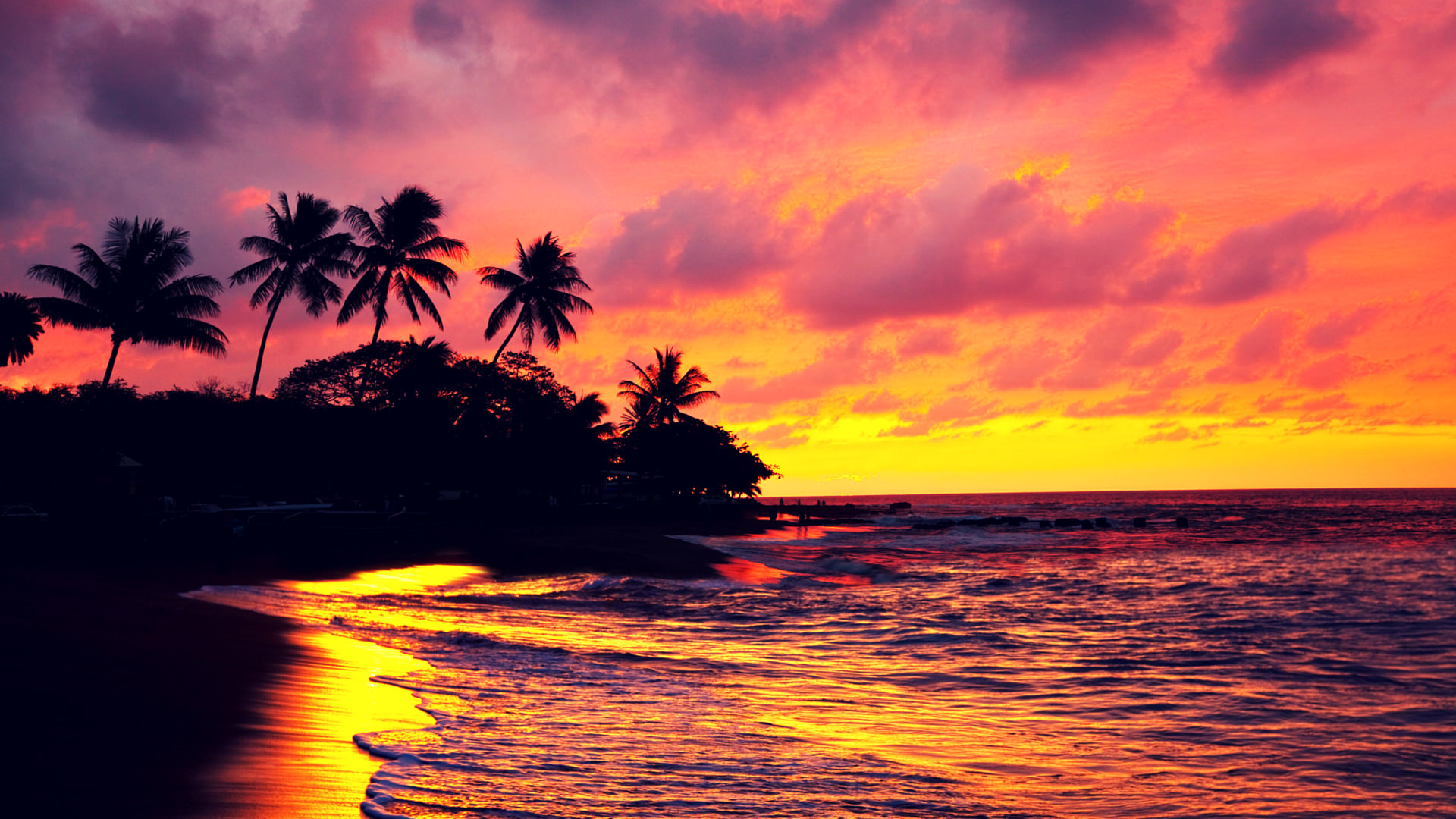 A sunset over the ocean with palm trees in the foreground.