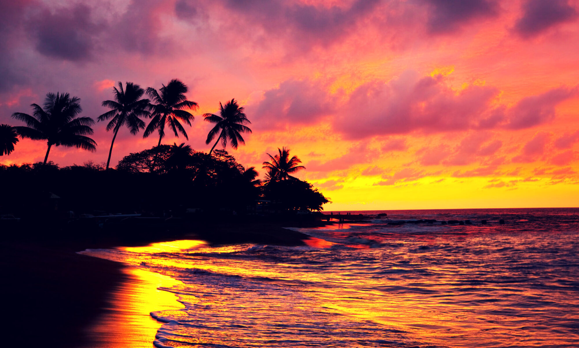 A sunset over the ocean with palm trees in the foreground.